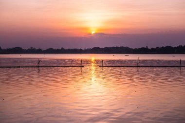 Sabah Kwan Phayao Gölü, Tayland.