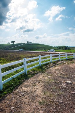 Tayland, Tayland 'daki çay çiftliğinin manzarası.