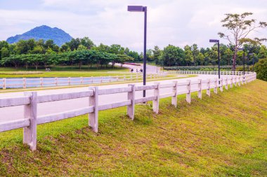 Bisiklet yolu olan yeşil çimenlik alan, Tayland.