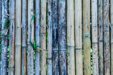 Bambu çit arka planı, Tayland.