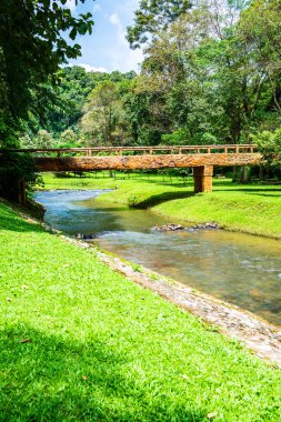 Phu Sang Ulusal Parkı, Tayland manzarası.