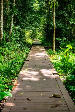 Phu Sang, Tayland 'da doğa yolu..