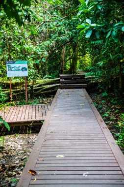Phu Sang, Tayland 'da doğa yolu..