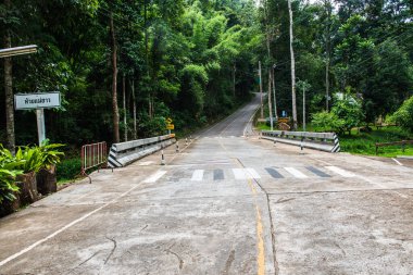 Tayland 'daki dağda küçük bir yol.