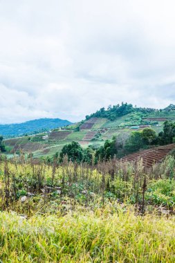 Mon Jam 'in Tayland' daki dağ manzarası.