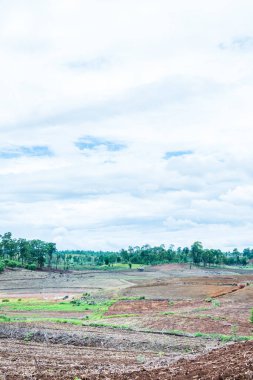 Tayland 'ın Chiangmai eyaletinde doğal manzara.