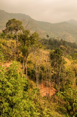Phu Langka Ulusal Parkı, Tayland Güzel Manzarası.