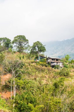 Tayland Phulangka Ulusal Parkı 'nda Dağ Manzaralı Küçük Ev.