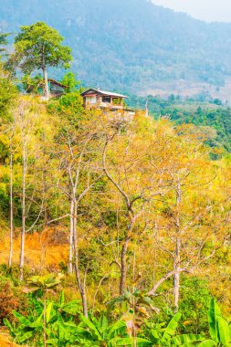 Tayland Phulangka Ulusal Parkı 'nda Dağ Manzaralı Küçük Ev.