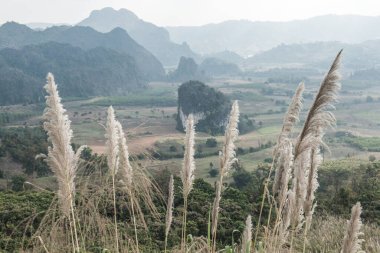 Phu Langka Ulusal Parkı, Tayland Güzel Manzarası.