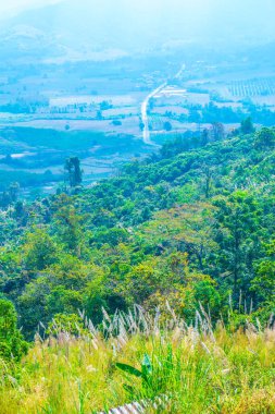 Phu Langka Ulusal Parkı, Tayland Güzel Manzarası.
