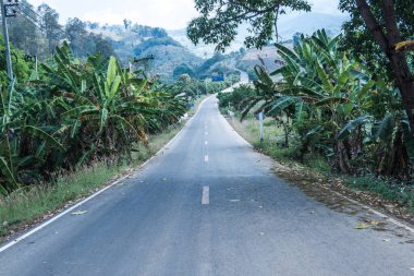 Tayland 'ın Phayao eyaletinde dağdaki yol.