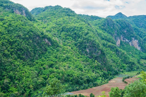 Tayland 'ın Chiangmai bölgesindeki dağ manzarası..
