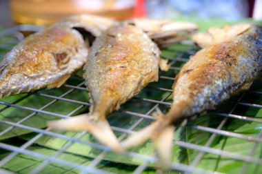 Tayland 'da Kızarmış Uskumru Balığı.