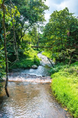 Küçük kanallı park, Tayland.