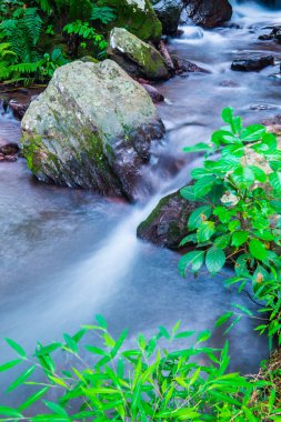 Champa Tanga Şelalesinde Su Akıyor, Tayland.