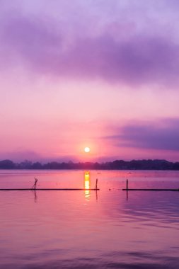 Sabah Kwan Phayao Gölü, Tayland.