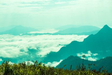 Chiangrai Eyaleti, Tayland 'daki Phu Chi Fa Manzara Noktasında Sis Denizi.