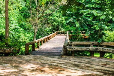 Phu Sang Ulusal Parkı, Tayland 'da küçük bir köprü..
