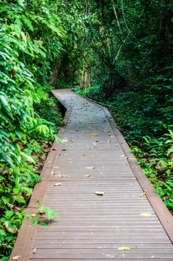 Phu Sang, Tayland 'da doğa yolu..