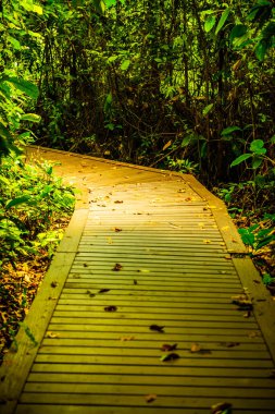 Phu Sang, Tayland 'da doğa yolu..