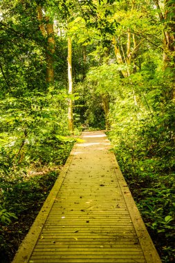 Phu Sang, Tayland 'da doğa yolu..