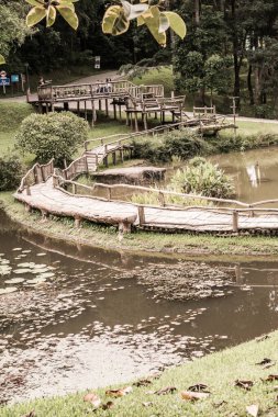Doğal parkın manzarası, Tayland.