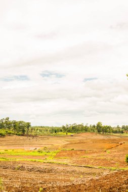 Tayland 'ın Chiangmai eyaletinde doğal manzara.