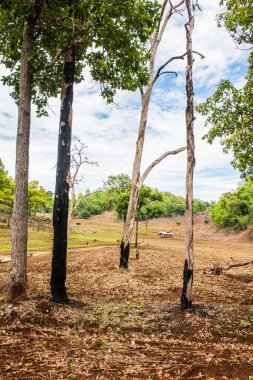 Tayland 'ın Chiangmai eyaletinde doğal manzara.