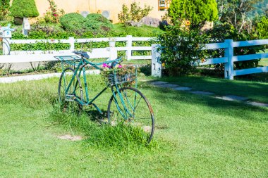 Yeşil çimlerin üzerinde eski bisiklet, Tayland.