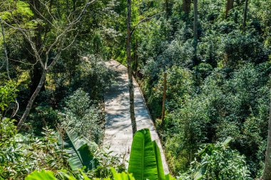 Tayland 'da, parkta beton yol.