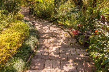 Parkta yürüyüş yolu, Tayland.