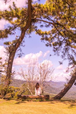Huai Nam Dang Milli Parkı, Tayland.
