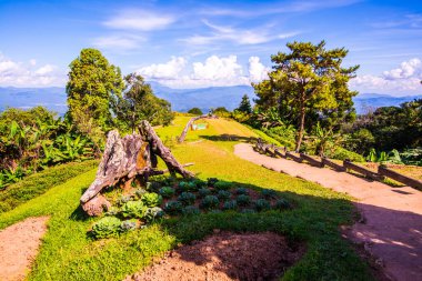 Huai Nam Dang Milli Parkı, Tayland.