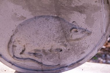 Fare şekillendirme sanatı, Tayland.