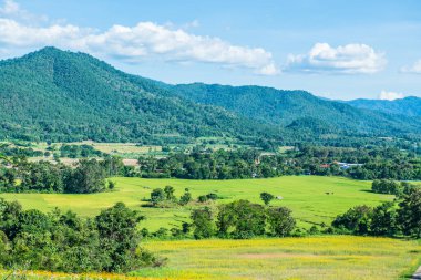 Tayland 'ın Pai şehrinde doğal manzara.