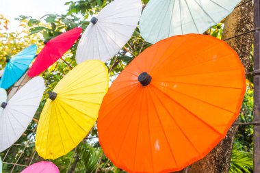 Tayland ana şemsiyesinin arka planı, Tayland.