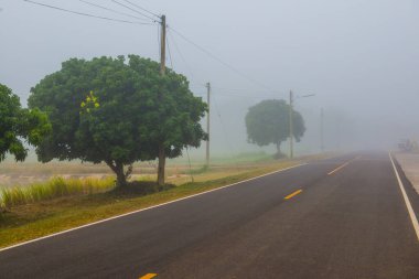 Tayland 'ın Phayao eyaletinde kış mevsiminde sisli koşu pisti.