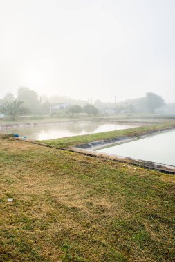 Tayland 'ın Phayao eyaletinde kış mevsiminde sisli balık havuzu.