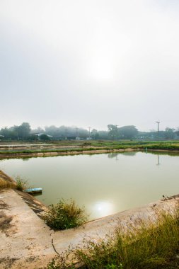 Tayland 'ın Phayao eyaletinde kış mevsiminde sisli balık havuzu.