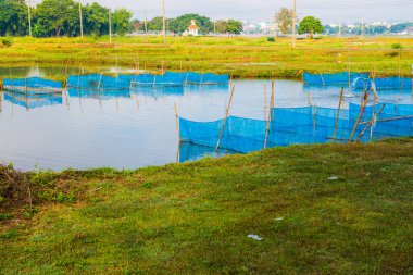 Tayland 'da balık kafesleri.