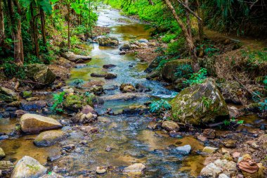 Tayland 'daki Mork Fa şelalesinde küçük bir kanal..