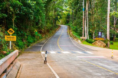 Tayland 'daki dağda küçük bir yol.