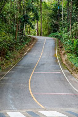 Tayland 'daki dağda küçük bir yol.