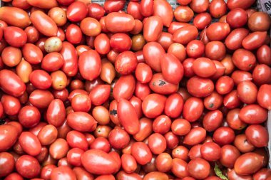 Kırmızı domateslerin arka planı, Tayland.
