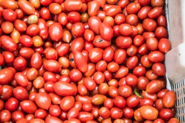 Kırmızı domateslerin arka planı, Tayland.