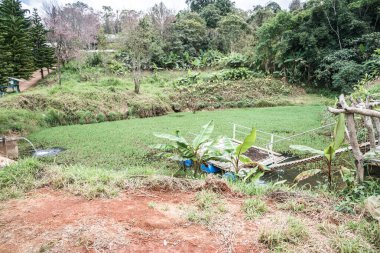 Tayland 'da, dağda su göleti.