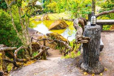 Tayland, ormandaki teras.