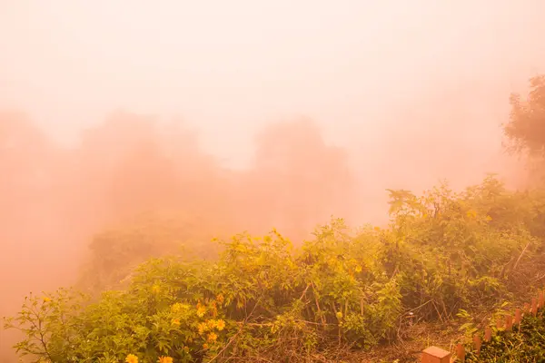 stock image Viewpoint area with mist in winter season at Phayao province, Thailand.