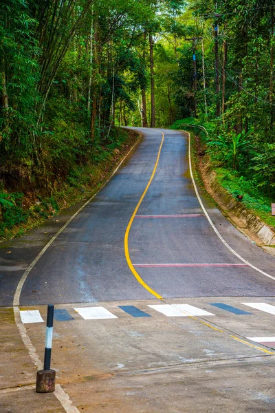 Tayland 'daki dağda küçük bir yol.